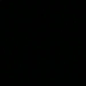 Meet your Posher, Parnaz